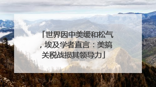 世界因中美缓和松气，埃及学者直言：美搞关税战损其领导力