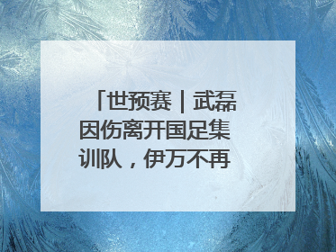 世预赛｜武磊因伤离开国足集训队，伊万不再补招顶替球员