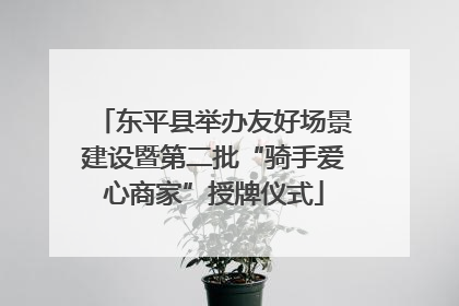 东平县举办友好场景建设暨第二批“骑手爱心商家”授牌仪式