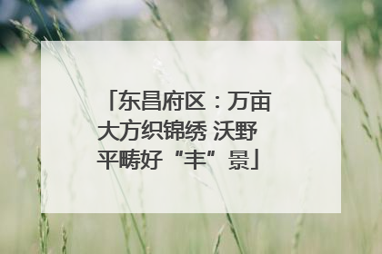 东昌府区：万亩大方织锦绣 沃野平畴好“丰”景