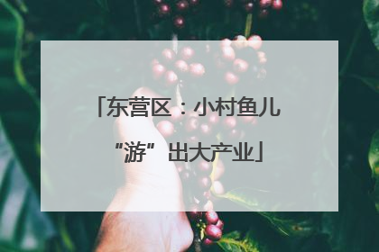 东营区：小村鱼儿“游”出大产业