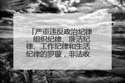 严重违反政治纪律、组织纪律、廉洁纪律、工作纪律和生活纪律的罗璇，非法收受他人巨额财物