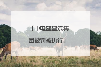 中电建建筑集团被罚被执行