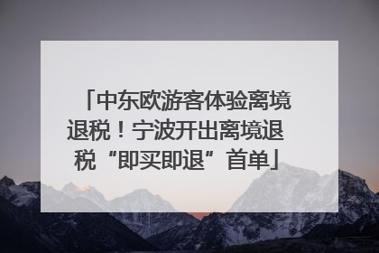 中东欧游客体验离境退税！宁波开出离境退税“即买即退”首单
