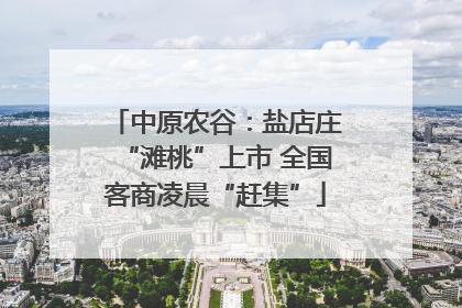 中原农谷：盐店庄“滩桃”上市 全国客商凌晨“赶集”