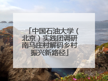 中国石油大学（北京）实践团调研南马庄村解码乡村振兴新路径