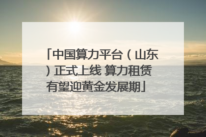 中国算力平台（山东）正式上线 算力租赁有望迎黄金发展期