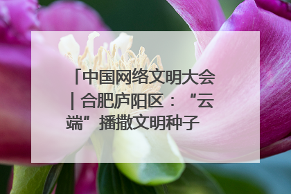 中国网络文明大会｜合肥庐阳区：“云端”播撒文明种子 共建清朗网络空间