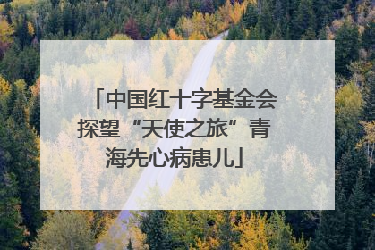中国红十字基金会探望“天使之旅”青海先心病患儿