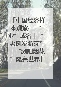 中国经济样本观察·一“业”成名丨“老树发新芽”！“浏阳烟花”燃亮世界
