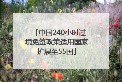 中国240小时过境免签政策适用国家扩展至55国