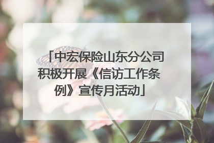 中宏保险山东分公司积极开展《信访工作条例》宣传月活动