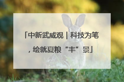 中新武威观｜科技为笔，绘就夏粮“丰”景