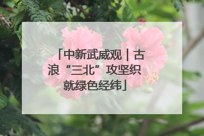 中新武威观｜古浪“三北”攻坚织就绿色经纬