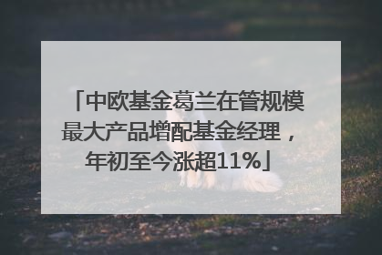 中欧基金葛兰在管规模最大产品增配基金经理，年初至今涨超11%