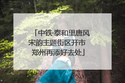 中铁·泰和里唐风宋韵主题街区开市 郑州再添好去处