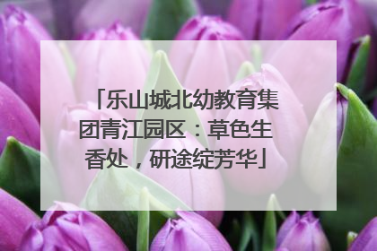 乐山城北幼教育集团青江园区：草色生香处，研途绽芳华