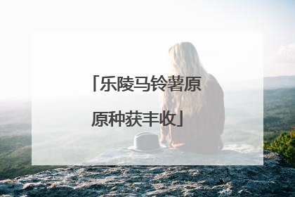 乐陵马铃薯原原种获丰收