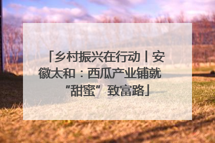 乡村振兴在行动丨安徽太和：西瓜产业铺就“甜蜜”致富路