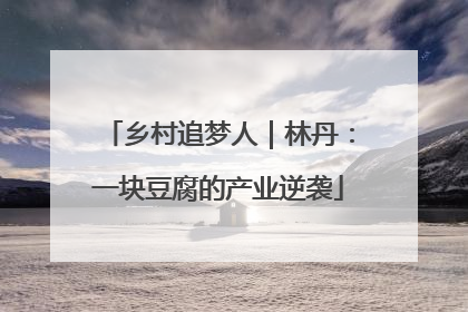乡村追梦人｜林丹：一块豆腐的产业逆袭