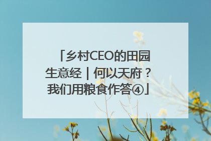 乡村CEO的田园生意经｜何以天府？我们用粮食作答④