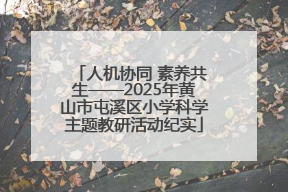 人机协同 素养共生——2025年黄山市屯溪区小学科学主题教研活动纪实