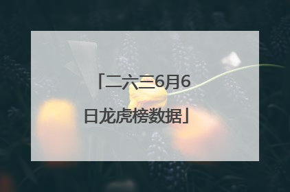 二六三6月6日龙虎榜数据