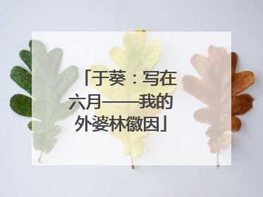 于葵：写在六月——我的外婆林徽因