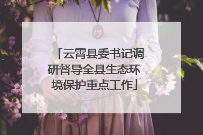 云霄县委书记调研督导全县生态环境保护重点工作