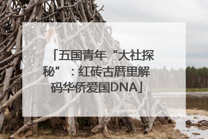 五国青年“大社探秘”：红砖古厝里解码华侨爱国DNA