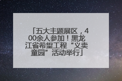 五大主题展区，400余人参加！黑龙江省希望工程“义卖童园”活动举行