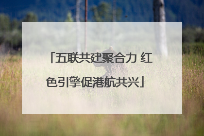 五联共建聚合力 红色引擎促港航共兴