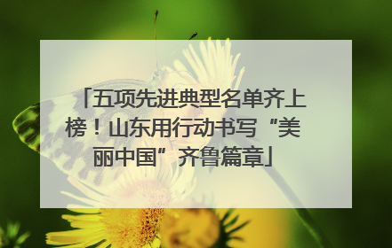 五项先进典型名单齐上榜！山东用行动书写“美丽中国”齐鲁篇章