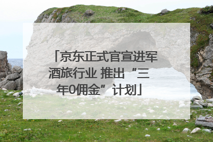 京东正式官宣进军酒旅行业 推出“三年0佣金”计划