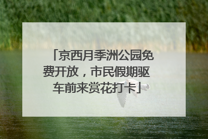 京西月季洲公园免费开放，市民假期驱车前来赏花打卡