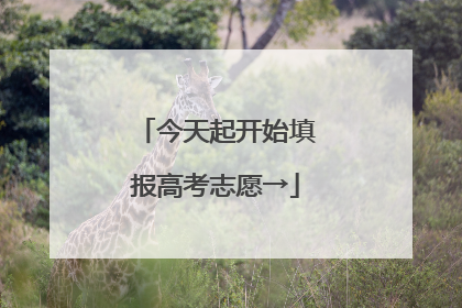 今天起开始填报高考志愿→