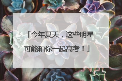 今年夏天，这些明星可能和你一起高考！