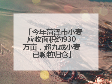 今年菏泽市小麦应收面积约930万亩，超九成小麦已颗粒归仓