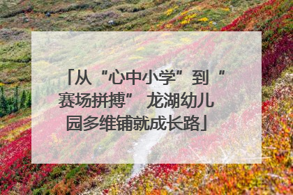 从“心中小学”到“赛场拼搏” 龙湖幼儿园多维铺就成长路
