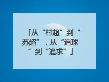 从“村超”到“苏超”，从“追球”到“追求”