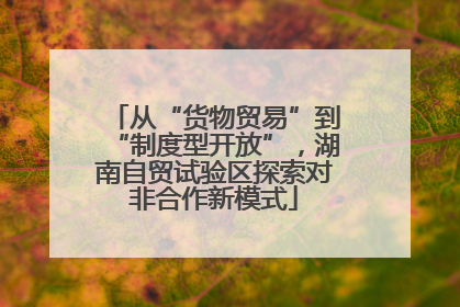从“货物贸易”到“制度型开放”，湖南自贸试验区探索对非合作新模式