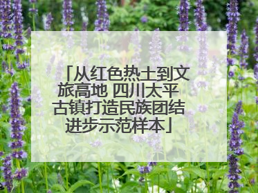 从红色热土到文旅高地 四川太平古镇打造民族团结进步示范样本