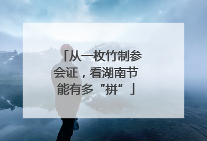 从一枚竹制参会证，看湖南节能有多“拼”