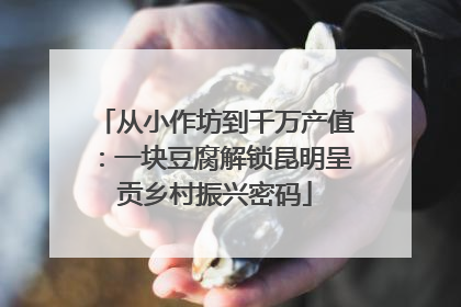 从小作坊到千万产值：一块豆腐解锁昆明呈贡乡村振兴密码