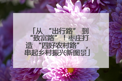 从 “出行路” 到 “致富路”！枣庄打造 “四好农村路”，串起乡村振兴新图景