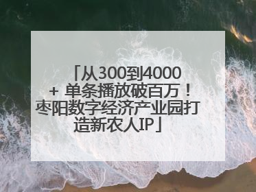 从300到4000+ 单条播放破百万！枣阳数字经济产业园打造新农人IP