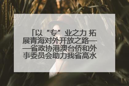 以“专”业之力 拓展青海对外开放之路——省政协港澳台侨和外事委员会助力我省高水平开放和高质量发展