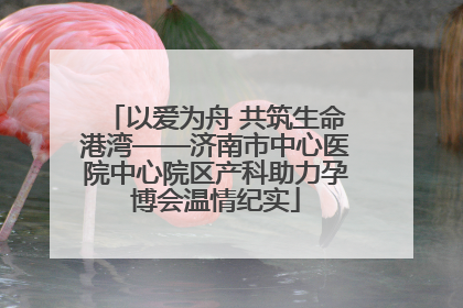 以爱为舟 共筑生命港湾——济南市中心医院中心院区产科助力孕博会温情纪实