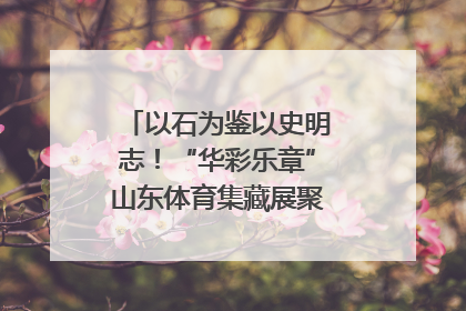 以石为鉴以史明志！“华彩乐章”山东体育集藏展聚焦“岱石丹心”