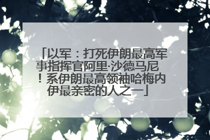 以军：打死伊朗最高军事指挥官阿里·沙德马尼！系伊朗最高领袖哈梅内伊最亲密的人之一